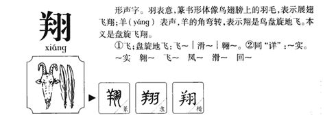 翔的意思名字|翔的解释